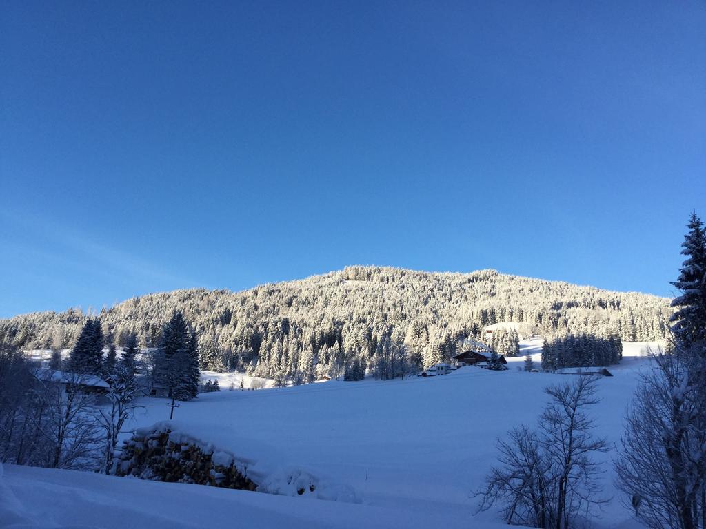 Ferienwohnungen Vierthaler Filzmoos Exteriör bild